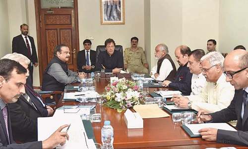 Cabinet unhappy over LHC decision of granting Shahbaz bail