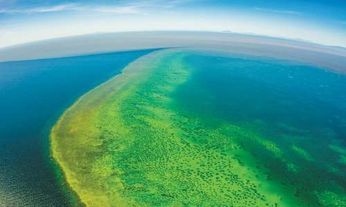 Flood water runoff could harm Barrier Reef, say scientists