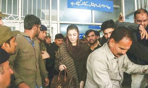 Shahbaz spends time with family, meets Nawaz