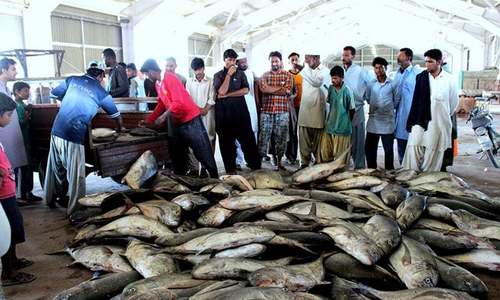 Balochistan CM wants Pasni fish harbour relocated