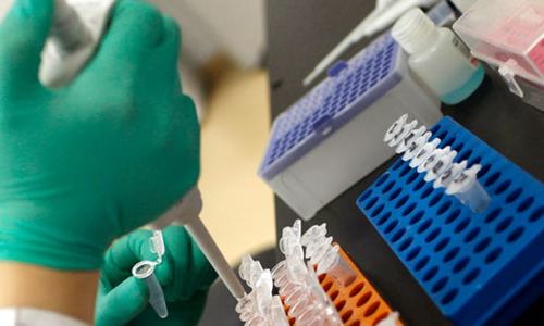 Call for awareness about parasite causing pregnancy complications