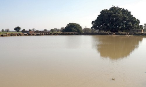Neglected today, ancient ponds could help overcome water shortage Neglected today, ancient ponds could help overcome water shortage