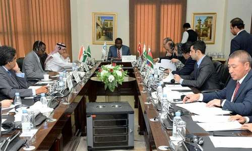 OIC condemns Indian incursion against Pakistan, urges both sides to exercise restraint OIC condemns Indian incursion against Pakistan, urges both sides to exercise restraint