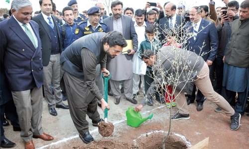 Nust launches spring plantation drive Nust launches spring plantation drive