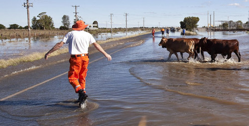 Floods kill 115 in southern Africa