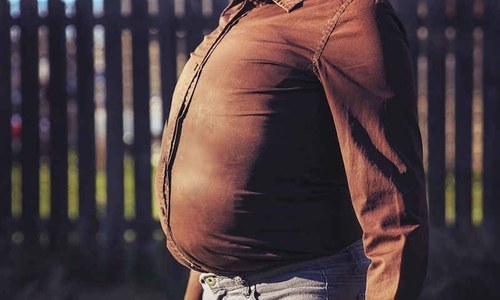 وہ بہترین غذائیں جو توند کی چربی گھٹانے میں مدد دیں