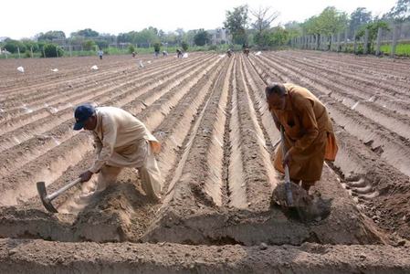 Govt for enhancing kharif crop production Govt for enhancing kharif crop production