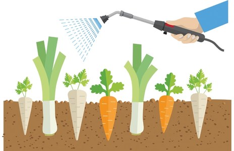 Deadly pesticides for profit