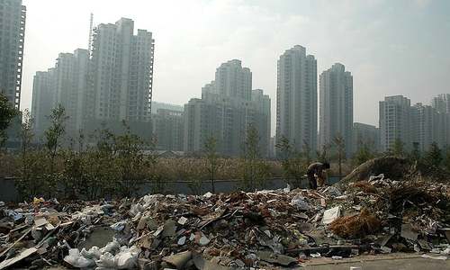 1 million species risk extinction due to humans: draft UN report