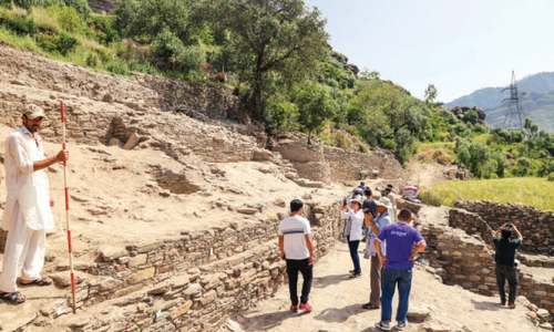 Traces of Alexander city found in Swat