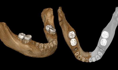 160,000 year-old remains of human relative found in Tibet: study