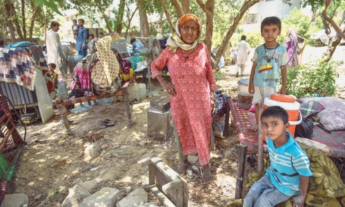 Over 300 huts, structures removed as &lsquo;grand&rsquo; operation to clear KCR land begins