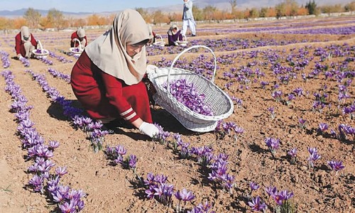 Afghanistan’s exports shrink to $891m in 2018, says Pentagon Afghanistan’s exports shrink to $891m in 2018, says Pentagon