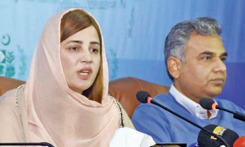 Posting of minister&rsquo;s sister in Nacta draws flak