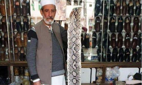 Cobbler pays Rs50,000 fine for snakeskin shoes meant for PM Imran
