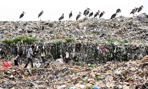 India's tallest rubbish mountain to rise higher than Taj Mahal