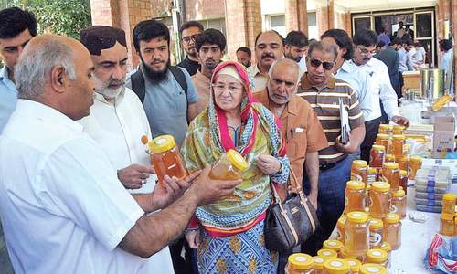 Over 12,000 tons of honey produced annually, says minister