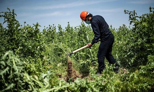 200 corpses found in mass grave in Syrian town