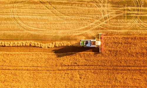 Will KP farmers quit wheat cultivation now that climate change is threatening crop?