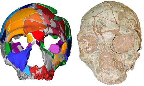 Scientists identify oldest modern human remains outside Africa Scientists identify oldest modern human remains outside Africa