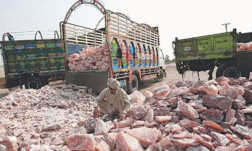 NON-FICTION: HOW GREEN IS MY JURISPRUDENCE?