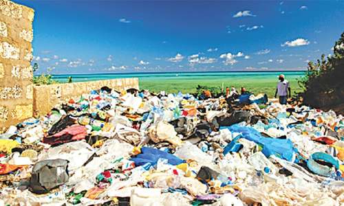 ENVIRONMENT: HOW MUCH PLASTIC ARE WE EATING?