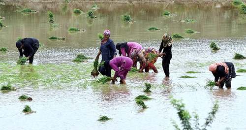 Tenure for farm financing enhanced to 10 years