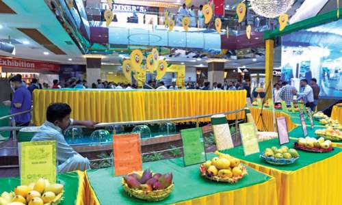 Seedless mango variety introduced at Islamabad festival Seedless mango variety introduced at Islamabad festival