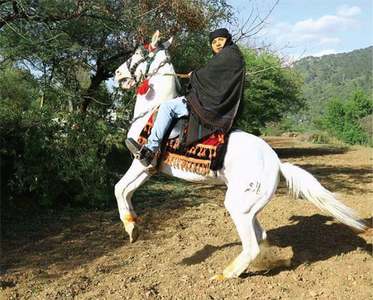 Pashto film industry to release four movies on Eid despite odds