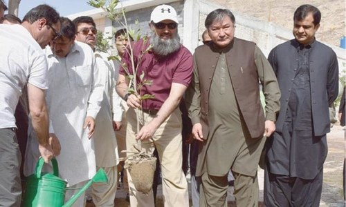 Balochistan CM kicks off tree plantation drive