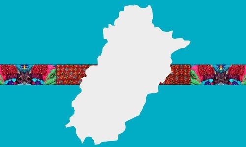 PTI's one year in Punjab