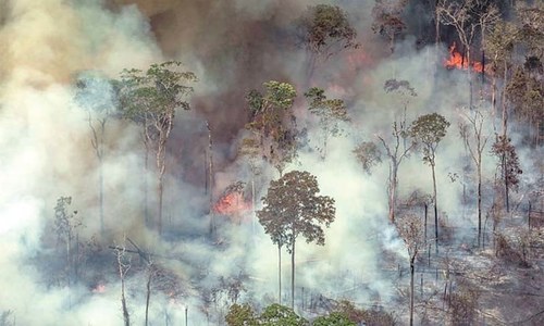 Thick smoke chokes Brazil’s north as fires rage in Amazon