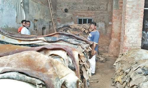 Flawed economic policy takes its toll on leather industry Flawed economic policy takes its toll on leather industry