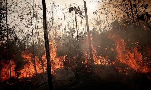 Bolivia has lost 1.7 million hectares to fire: government