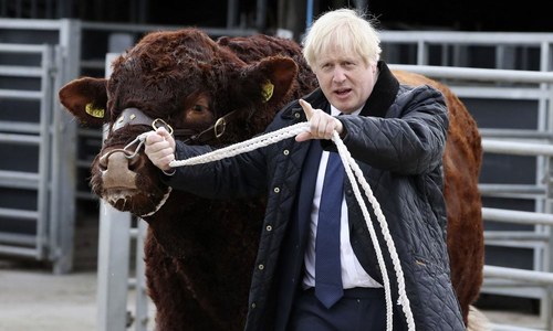 UK opposition mulls whether to endorse Johnson election call