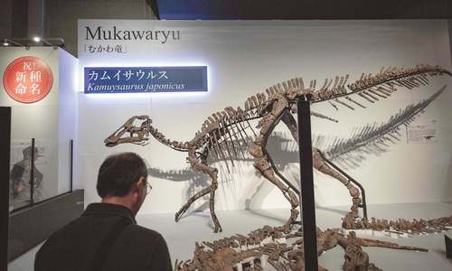 Japanese scientists find new dinosaur species