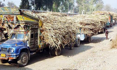 Sugar cane production in Sindh registers significant drop in 2018-19 Sugar cane production in Sindh registers significant drop in 2018-19