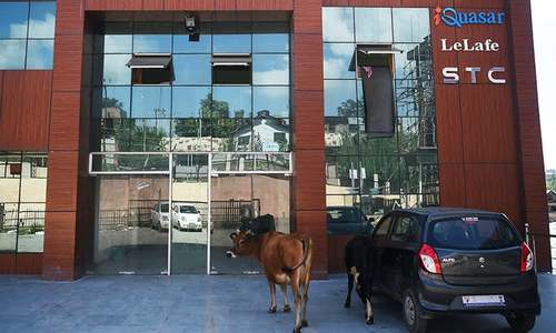 India clampdown hits occupied Kashmir's Silicon Valley