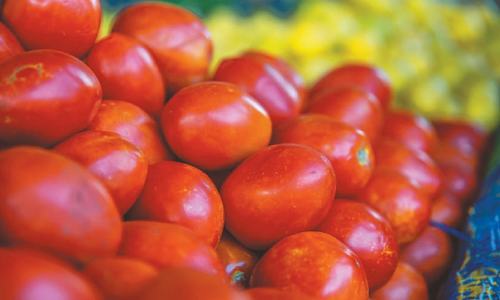 The anguish of Balochistan&rsquo;s farmers