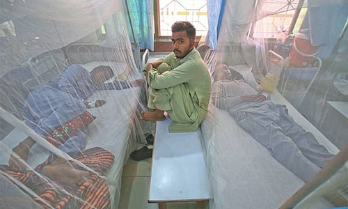 Over 25,000 dengue cases reported this year Over 25,000 dengue cases reported this year