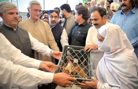 Backyard poultry farming initiative launched Backyard poultry farming initiative launched