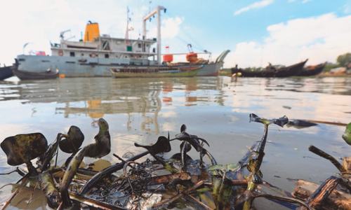 Oil spill threatens rare dolphin&rsquo;s breeding zone in Bangladesh