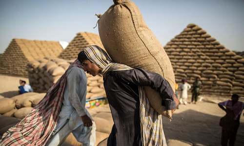 Post-harvest crop losses cost Pakistan over $1bn yearly: ADB Post-harvest crop losses cost Pakistan over $1bn yearly: ADB