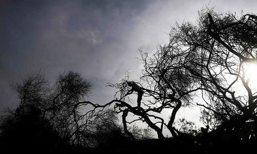 6 dead as cyclone Bulbul smashes into India, Bangladesh coasts
