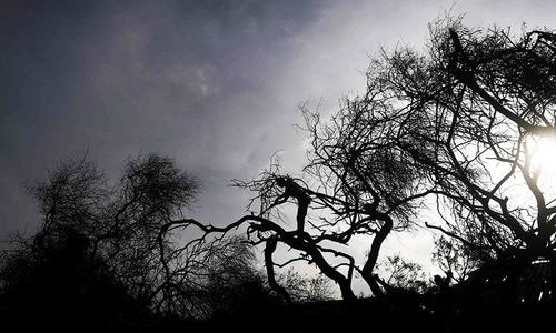 Cyclone death toll rises to 24 in Bangladesh, India