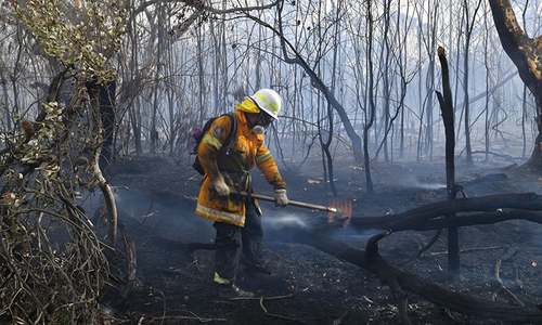 Australian bushfires hit Sydney suburbs