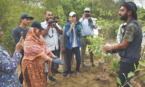 Turning barren land into dense forest in a short time