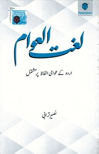 NON-FICTION: A DICTIONARY OF THE STREET