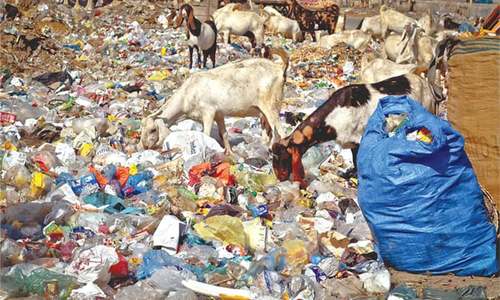 Monitoring of borders ordered to curb transport of plastic bags into Sindh