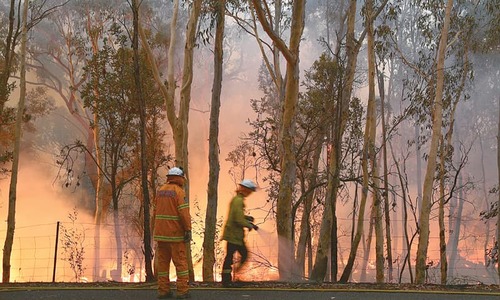 Giant fire blankets Sydney in smoke as people struggle to breathe